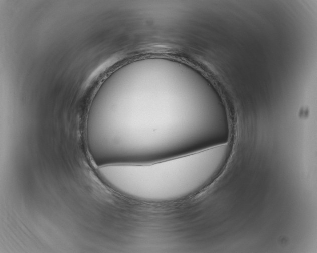 X0000113291402200909140953