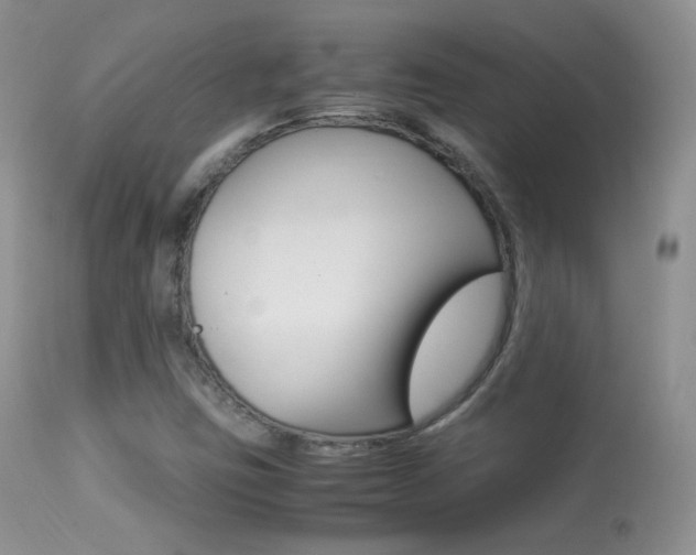 X0000113291403200909140953