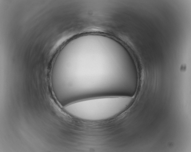 X0000113291404200909140954