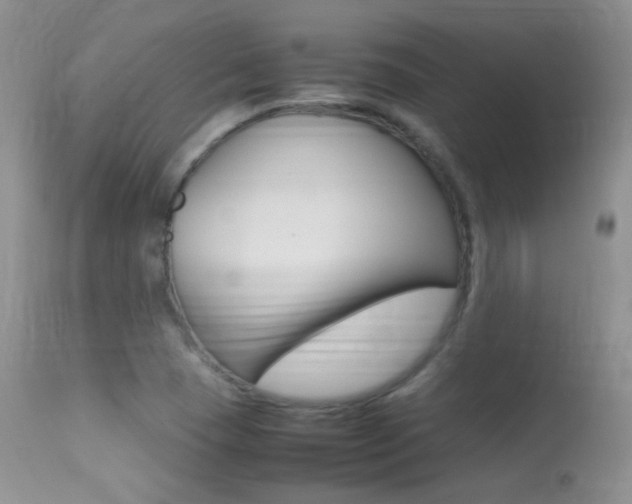 X0000113291409200909140954