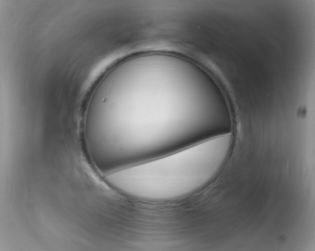 X0000113291416200909140954