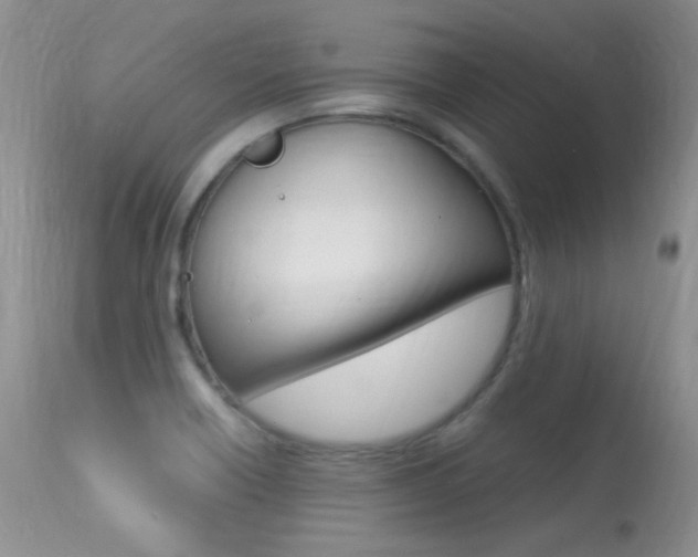 X0000113291418200909140954