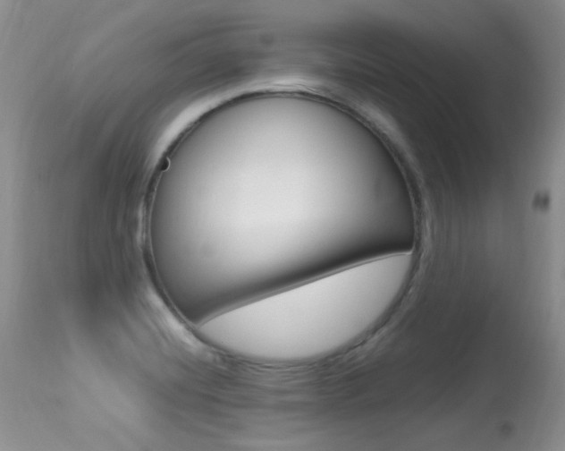 X0000113291420200909140954