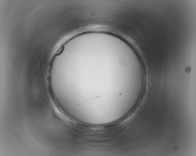 X0000113291421200909140954