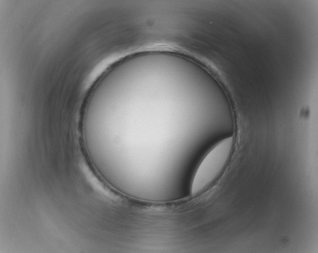 X0000113291422200909140954