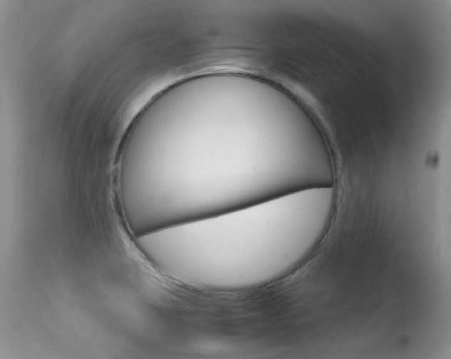 X0000113291423200909140954