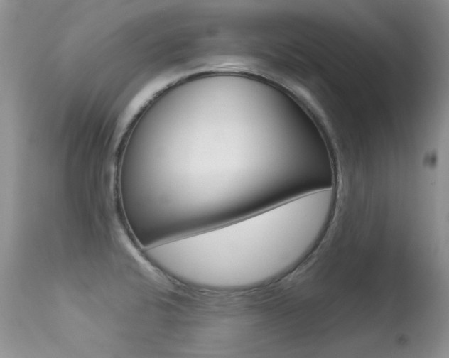 X0000113291424200909140954