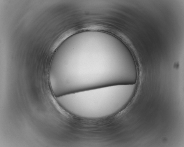 X0000113291425200909140954