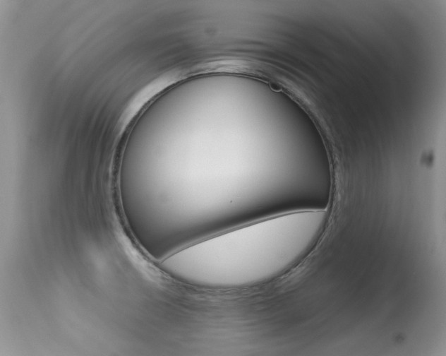 X0000113291426200909140954