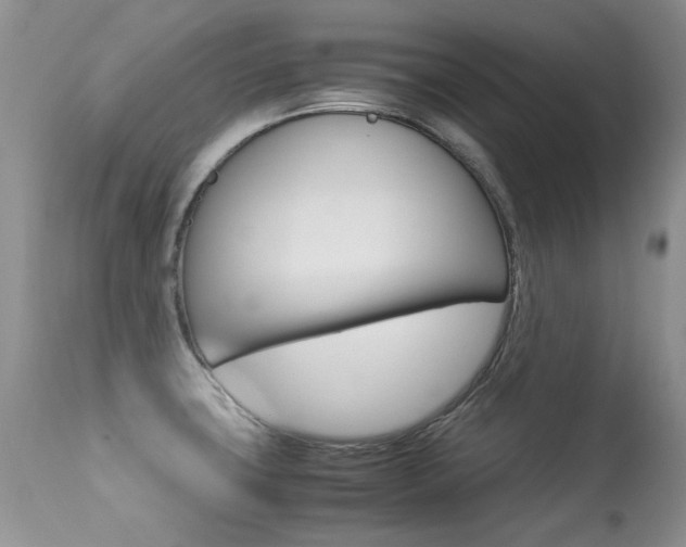X0000113291427200909140954