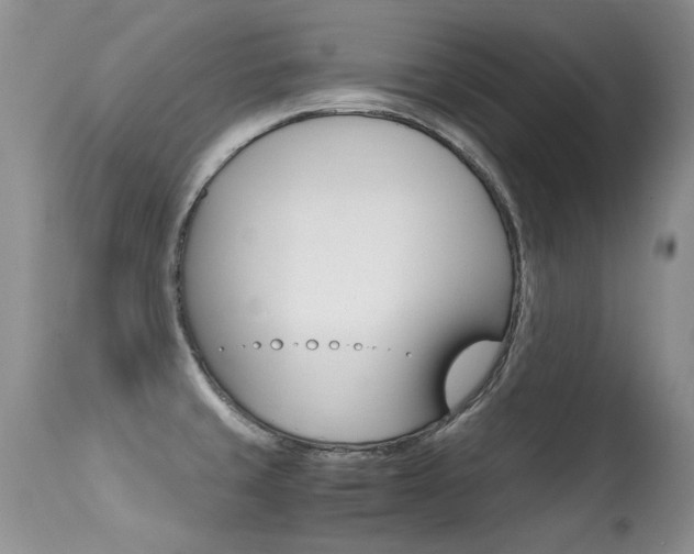 X0000113291429200909140954