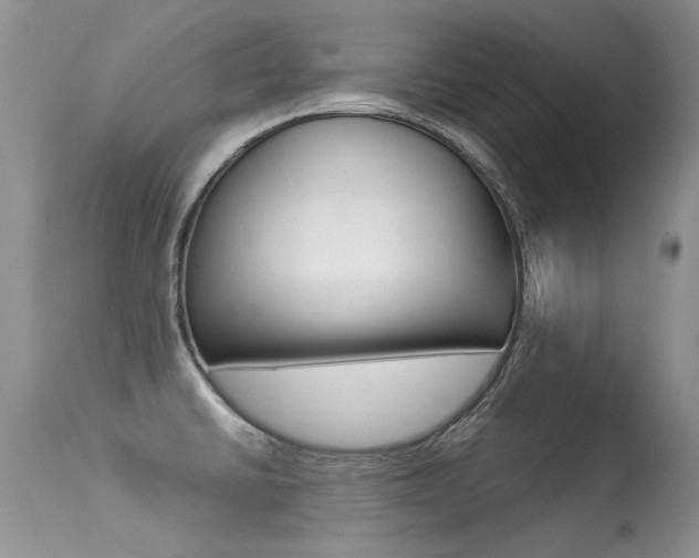 X0000113291430200909140954