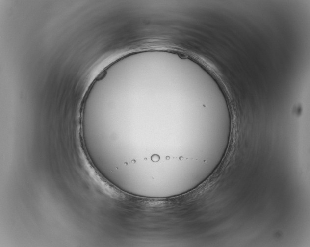 X0000113291431200909140954