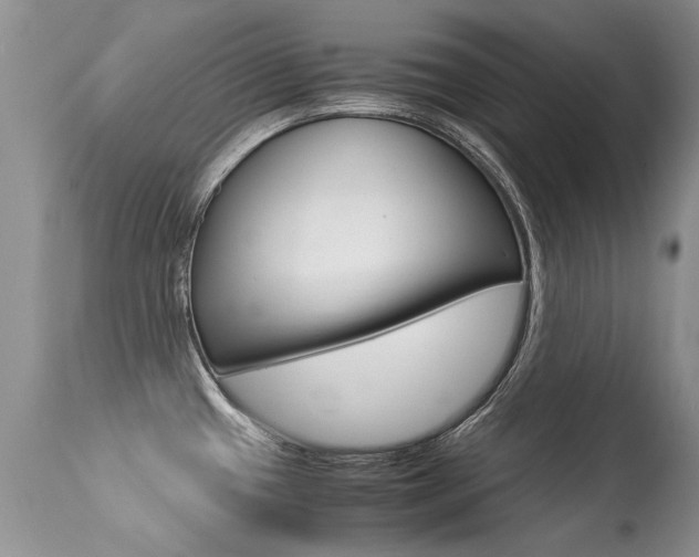 X0000113291433200909140954