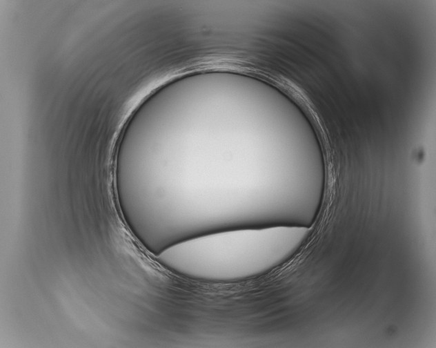 X0000113291435200909140954