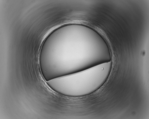 X0000113291436200909140954