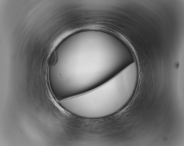 X0000113291437200909140954