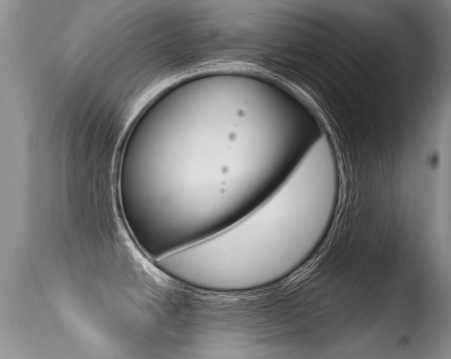 X0000113291438200909140954