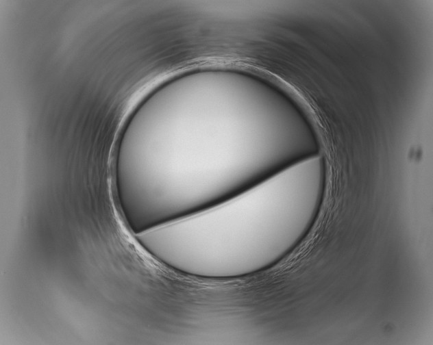 X0000113291440200909140954