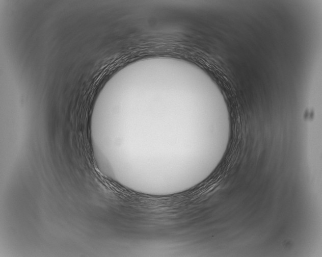 X0000113291441200909140953