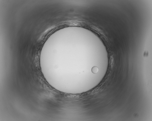 X0000113291446200909140953