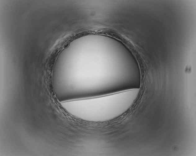 X0000113291447200909140953