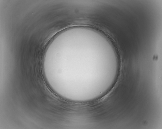 X0000113291449200909140953