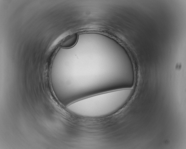 X0000113291450200909140953