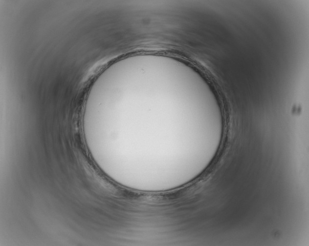 X0000113291451200909140953