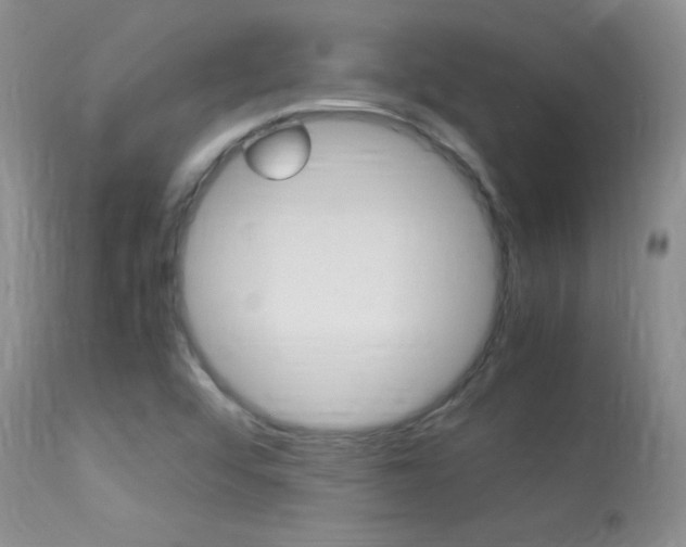 X0000113291456200909140953