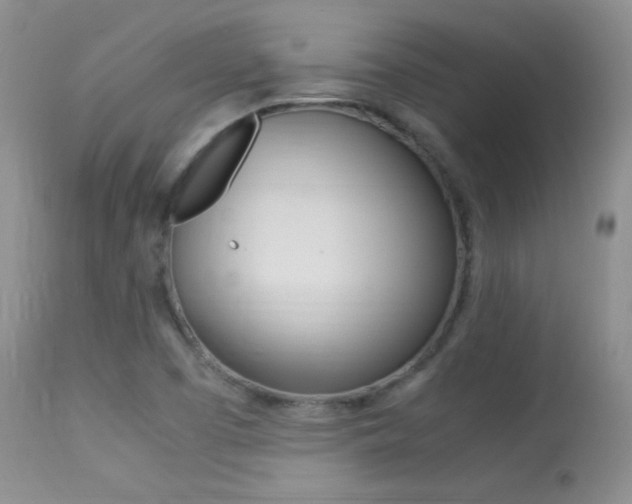 X0000113291457200909140953