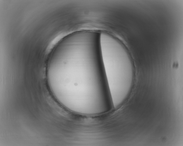 X0000113291459200909140953