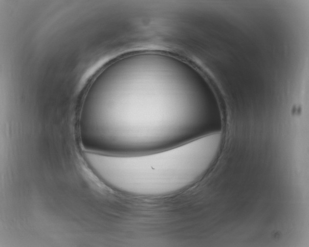 X0000113291460200909140953