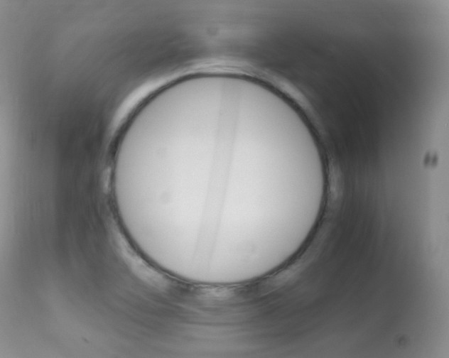 X0000113291462200909140953