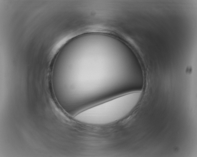 X0000113291463200909140953