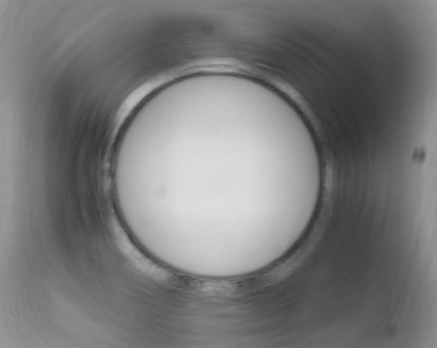 X0000113291466200909140953