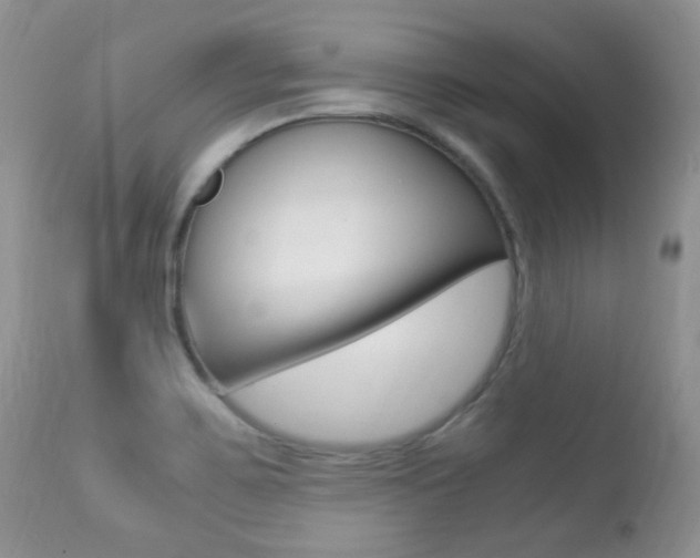 X0000113291467200909140953