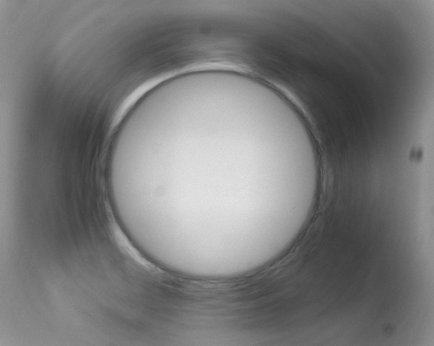 X0000113291468200909140953