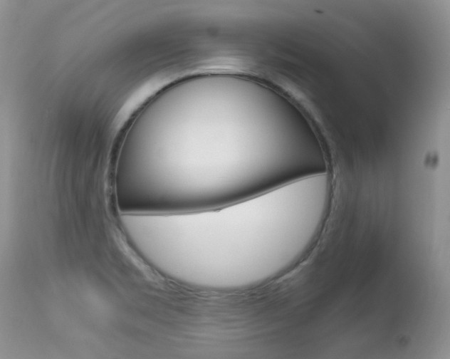 X0000113291469200909140953