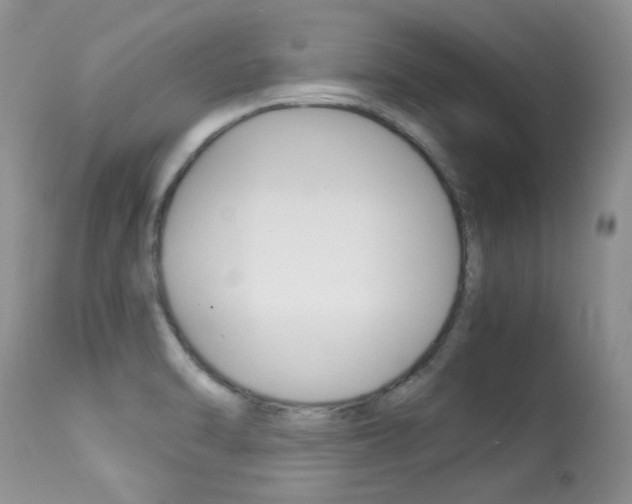 X0000113291470200909140953