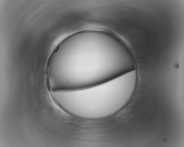 X0000113291471200909140953