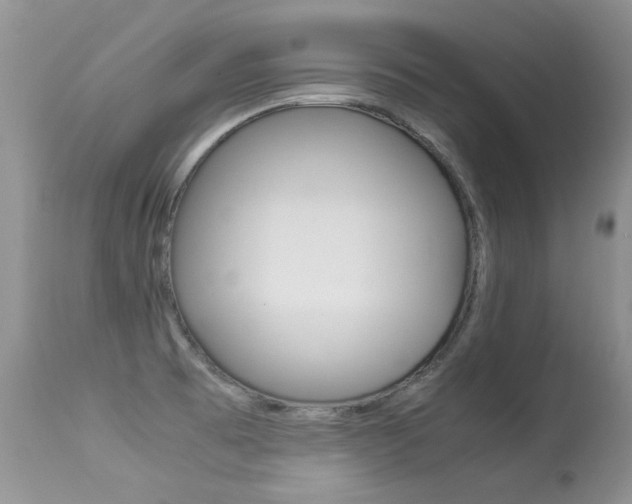 X0000113291473200909140953