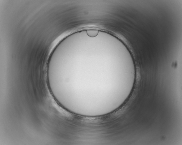X0000113291474200909140953