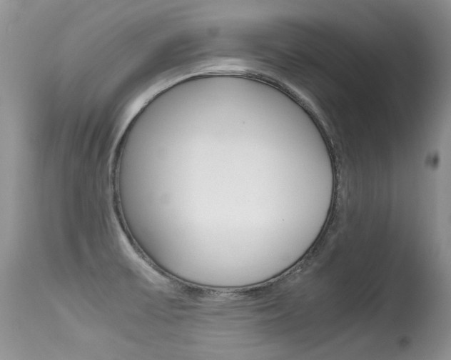 X0000113291475200909140953