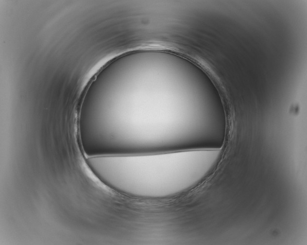 X0000113291476200909140953
