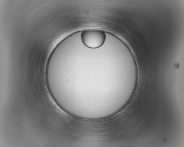 X0000113291477200909140953