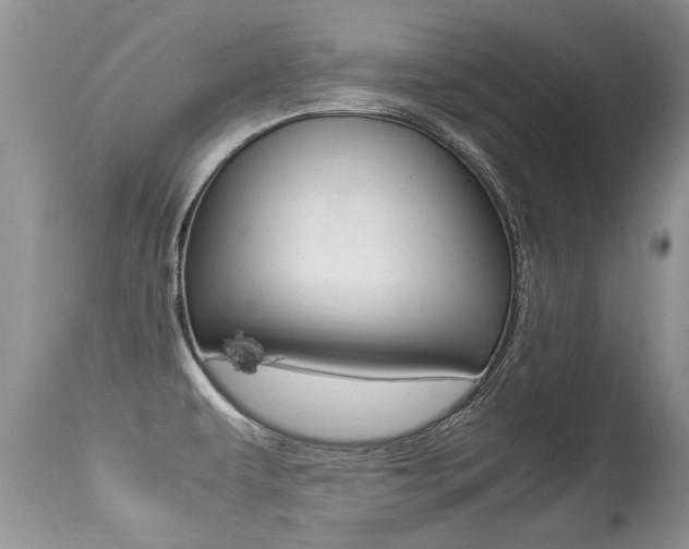 X0000113291479200909140953