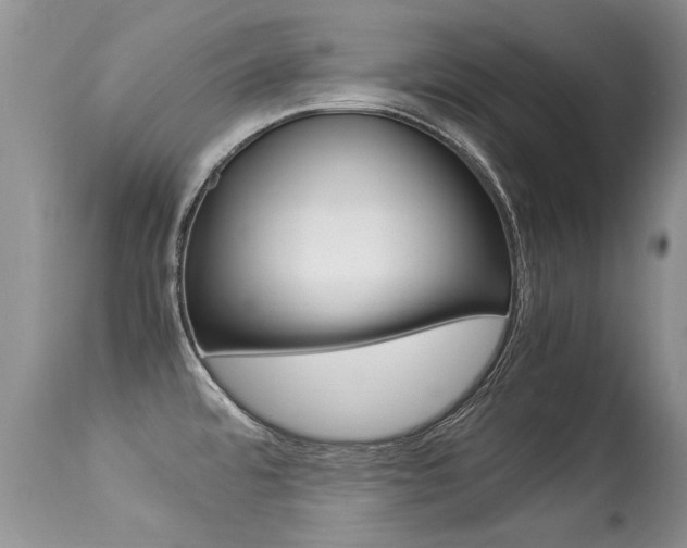X0000113291480200909140953