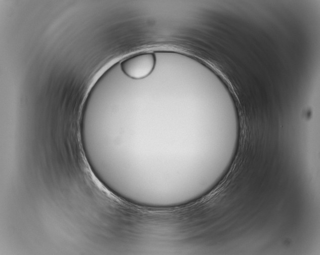 X0000113291484200909140952