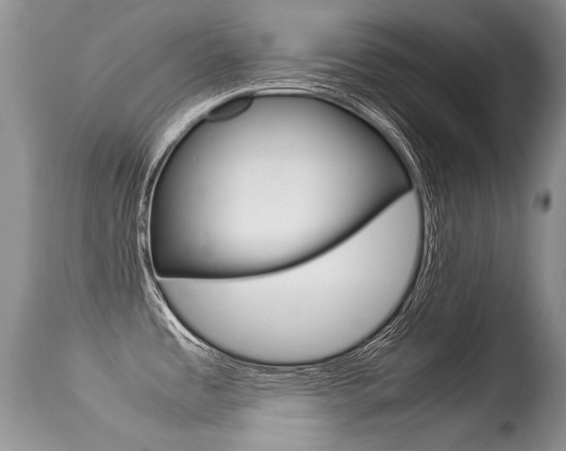 X0000113291485200909140952